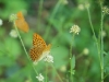 DSC01606