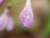 DSC03127