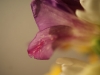 DSC03431