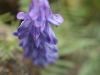 DSC09319