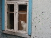 DSC06569