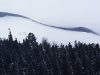 Лагонаки